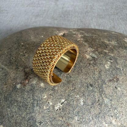 A065 Anillo Latido Solar